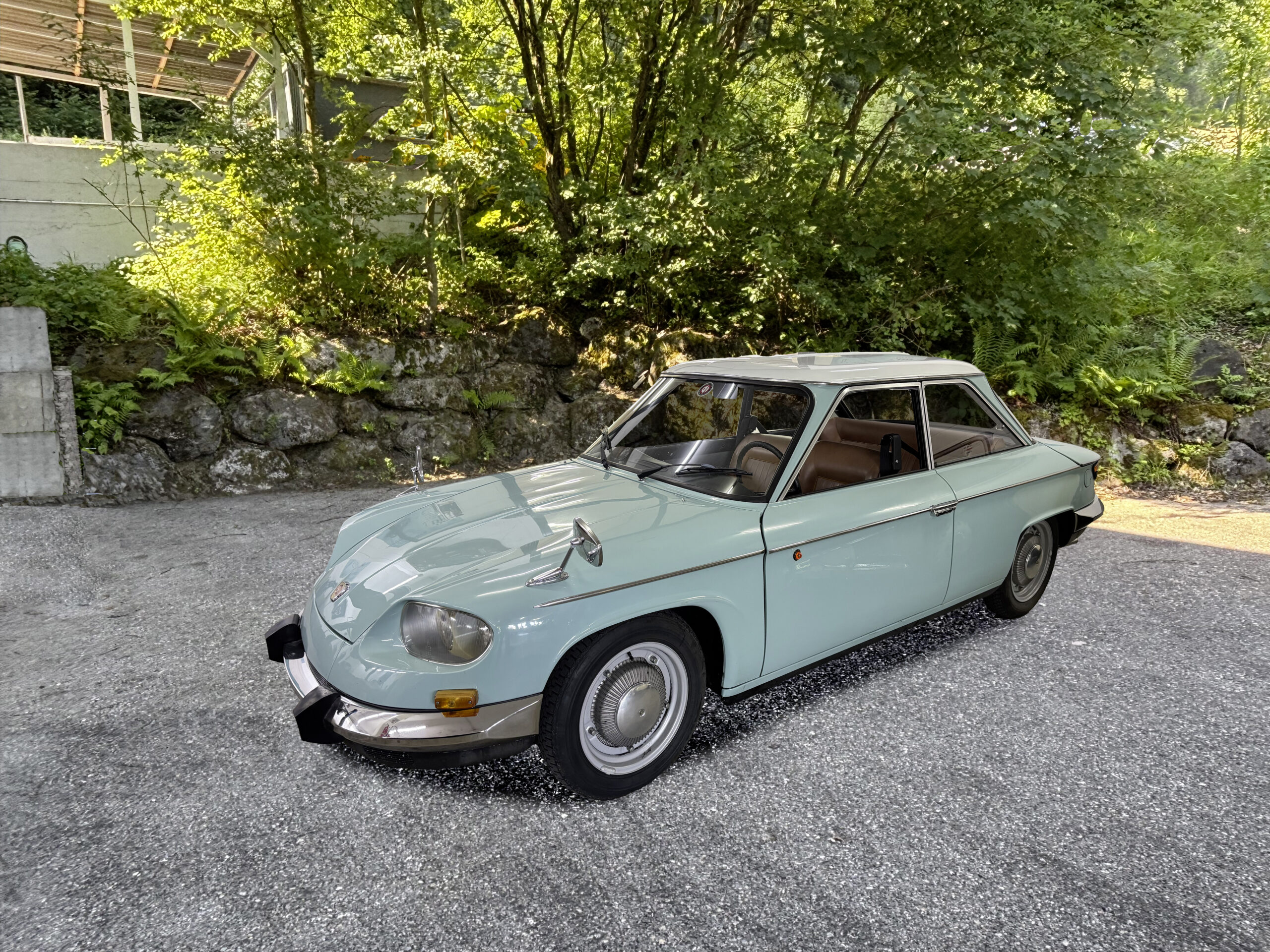 1966, Panhard